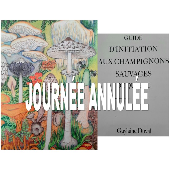 Wild mushrooms indentification with Guylaine Duval